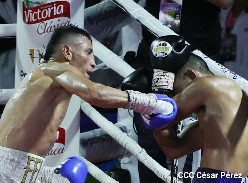 boxeo